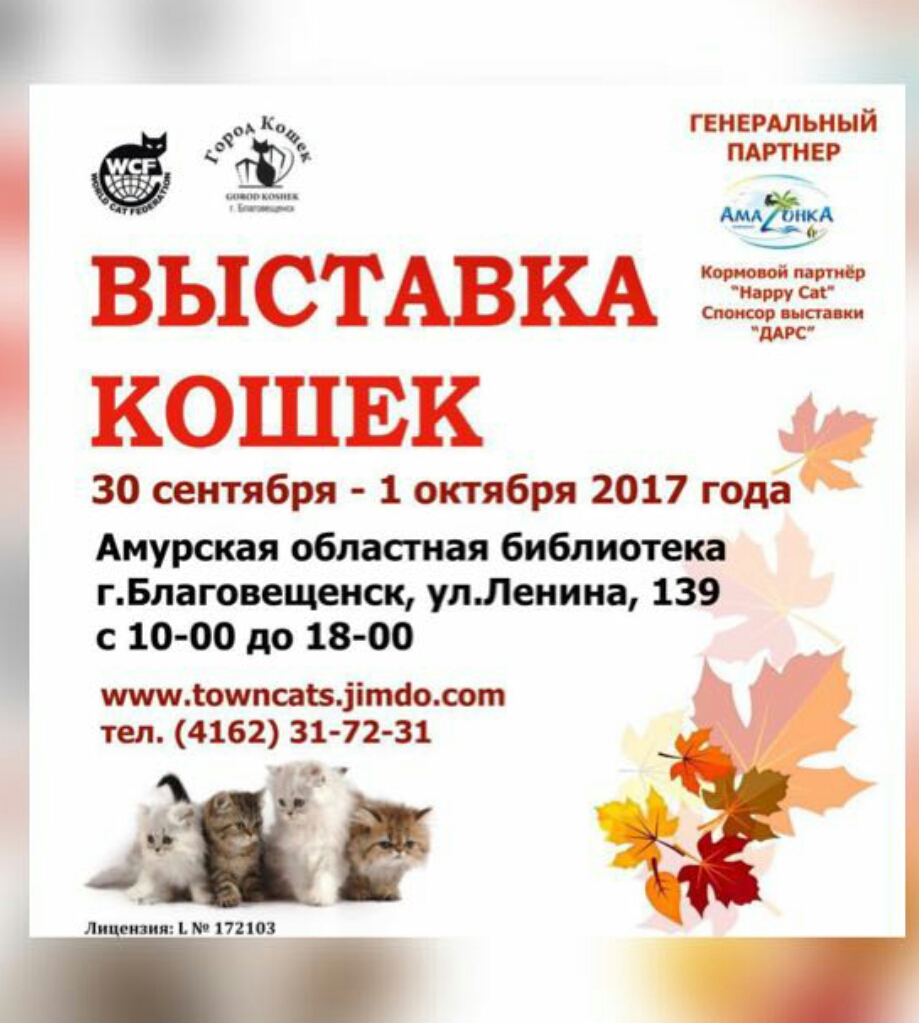 Выставка кошек в г.Благовещенске (октябрь 2017)